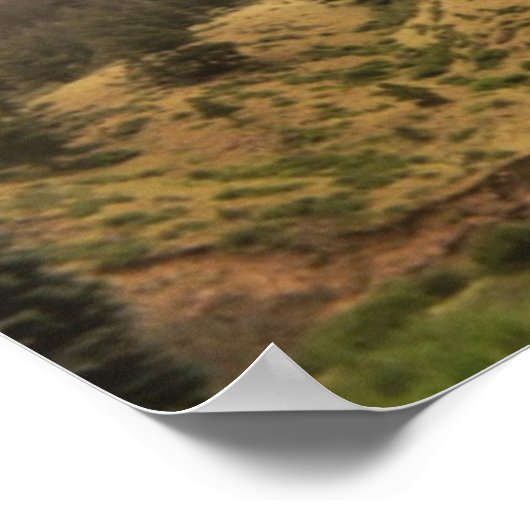 Kiefernbaumschönheitsprint Poster (Ecke)