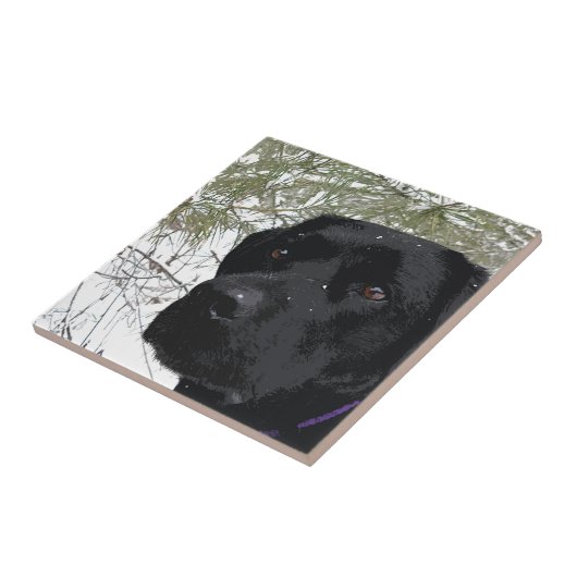 Kiefernfische - Schneelab - Schwarzes Labor Fliese (Seite)