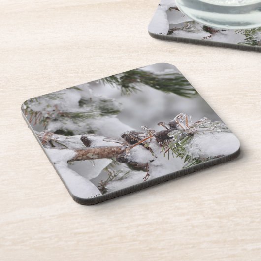 Kiefernfüße im Eis Untersetzer (Linke Seite)