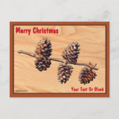 Kiefernholzzweig Postkarte (Vorderseite)