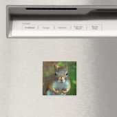 Kiefernhörnchen (Nüsse Got) Magnet (In Situ (Geschirrspüler))