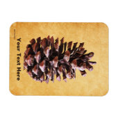 Kiefernkiefer auf Vintagem Papier Magnet (Horizontal)