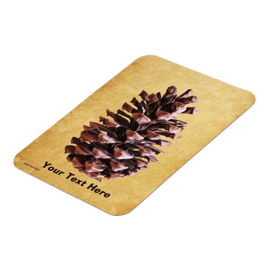 Kiefernkiefer auf Vintagem Papier Magnet (Linke Seite)