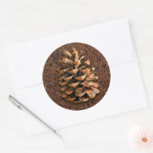 Kiefernkone auf gefallenen Nadeln Runder Aufkleber (Umschlag)