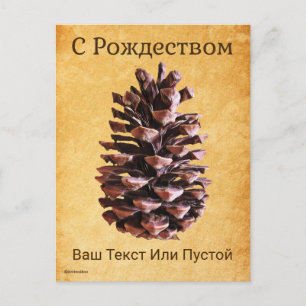 Kiefernkone auf Vintagem Papier - С Р о ж д е с т  Postkarte