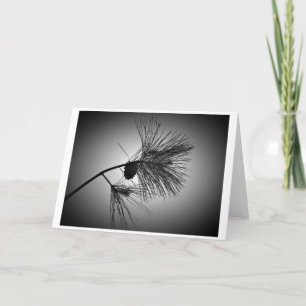 Kiefernkone auf Zweig - Noir, Karte