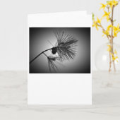 Kiefernkone auf Zweig - Noir, Karte (Gelbe Blume)
