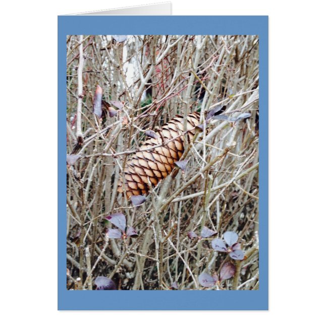 Kiefernkone und Blume im Gras (Vorne)
