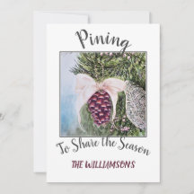 Kiefernkone und Schleifen mit Foto