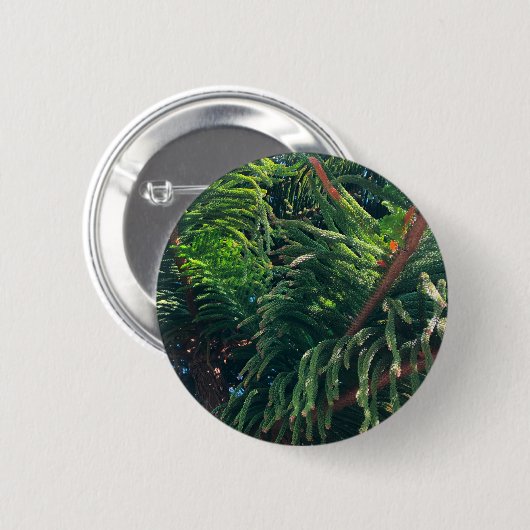 Kiefernkonifer Button (Vorne & Hinten)