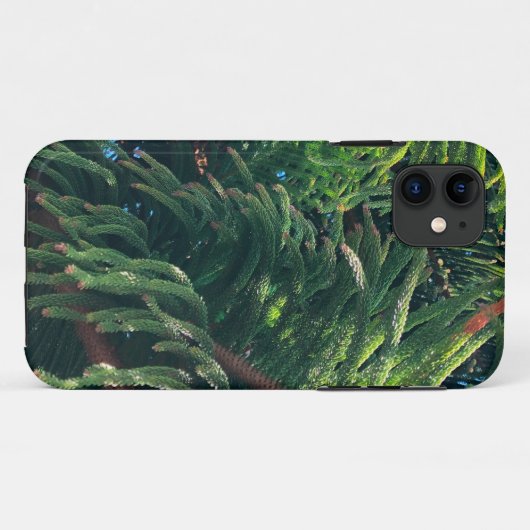 Kiefernkonifer Case-Mate iPhone Hülle (Rückseite (Horizontal))