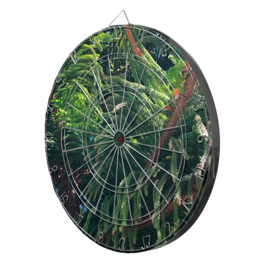 Kiefernkonifer Dartscheibe (Vorderseite rechts)