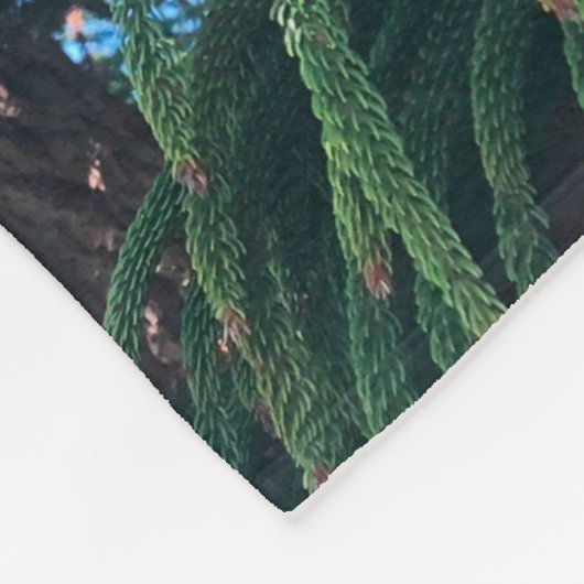 Kiefernkonifer Fleecedecke (Ecke)