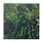 Kiefernkonifer Fliese (Vorderseite)