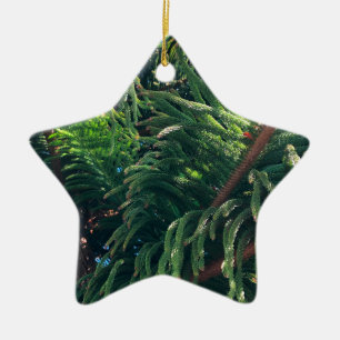 Kiefernkonifer Keramik Ornament