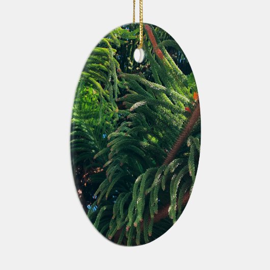 Kiefernkonifer Keramik Ornament (Rechts)