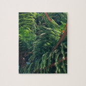 Kiefernkonifer Puzzle (Vertikal)