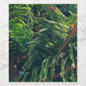 Kiefernkonifer Weinetikett (Einzelnes Label)