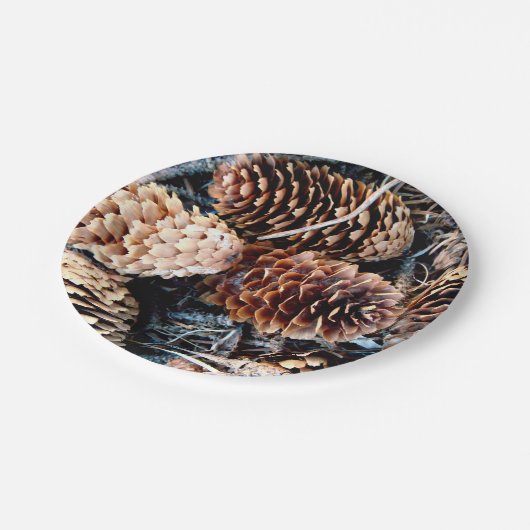 Kiefernkronenplatte Party Pappteller (Schrägansicht)