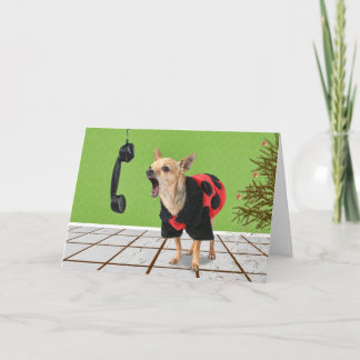 Kiefernnadeln Feiertagskarte