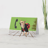 Kiefernnadeln Feiertagskarte (Vorderseite)