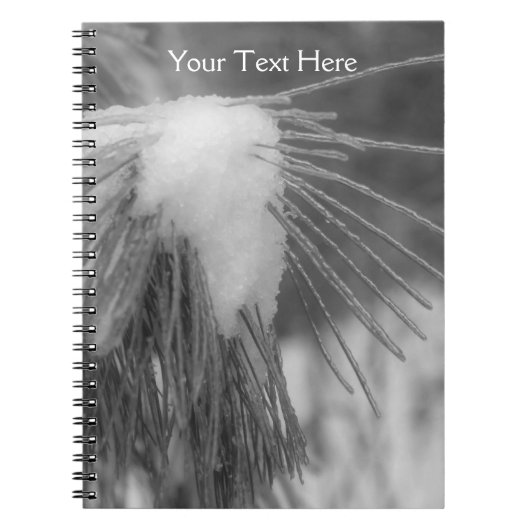 Kiefernnadeln im Schnee- und EisNatureybuch Notizblock (Vorderseite)