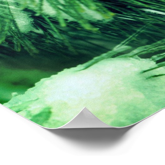 Kiefernnadeln im Schnee und im Winter Poster (Ecke)