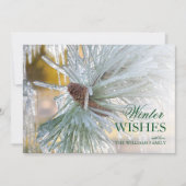 Kiefernnadeln, in Eis eingeschlossen (Vorderseite)