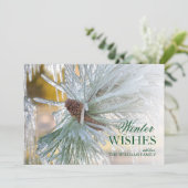 Kiefernnadeln, in Eis eingeschlossen (Stehend Vorderseite)