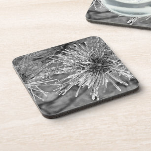 Kiefernnadeln mit Frostbedeckung in Schwarz und We Getränkeuntersetzer