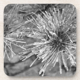 Kiefernnadeln mit Frostbedeckung in Schwarz und We Getränkeuntersetzer