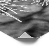 Kiefernnadeln mit Frostbedeckung Poster (Ecke)