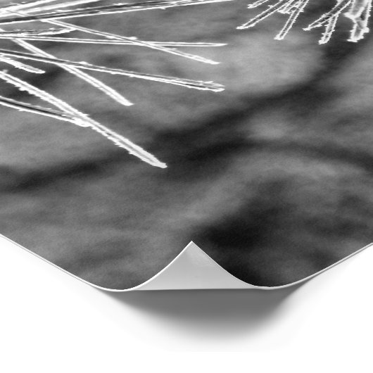 Kiefernnadeln mit Frostbedeckung Poster (Ecke)