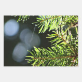 Kiefernnadeln mit Kiefer Geschenkpapier Set (Vorderseite 3)