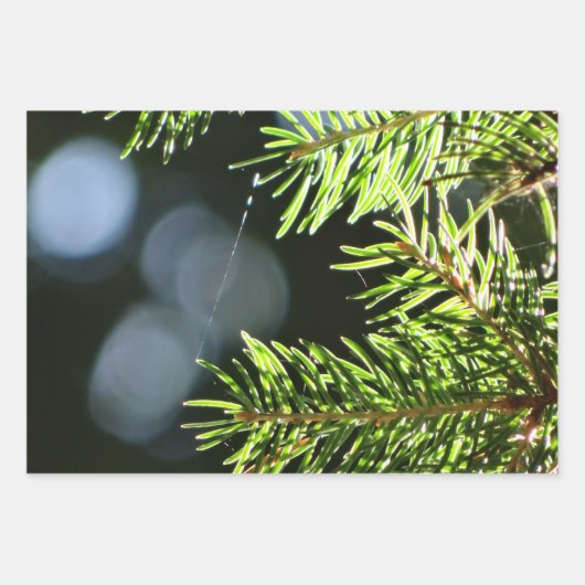 Kiefernnadeln mit Kiefer Geschenkpapier Set (Vorderseite 3)