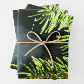 Kiefernnadeln mit Kiefer Geschenkpapier Set (Beispiel)