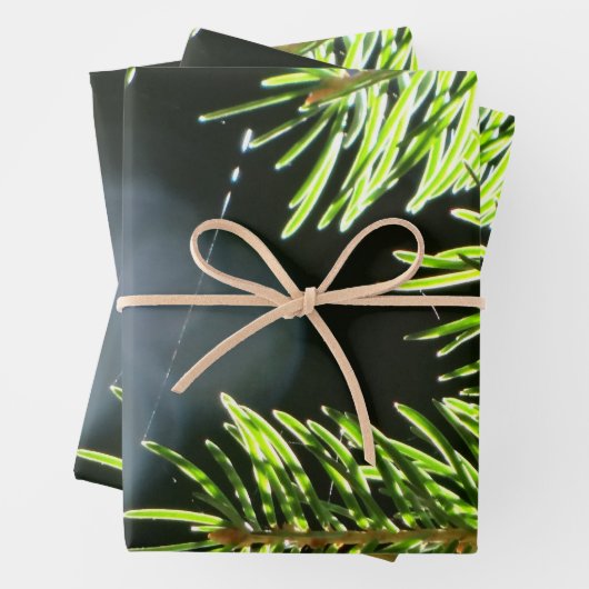 Kiefernnadeln mit Kiefer Geschenkpapier Set (Beispiel)