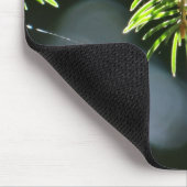 Kiefernnadeln mit Kiefer Mousepad (Ecke)