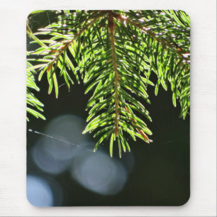 Kiefernnadeln mit Kiefer Mousepad