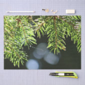 Kiefernnadeln mit Kiefer Seidenpapier (Handwerk)