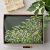 Kiefernnadeln mit Kiefer Seidenpapier (Geschenk)