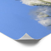 Kiefernnadeln Poster (Ecke)