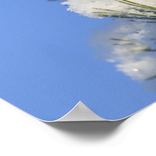 Kiefernnadeln Poster (Ecke)