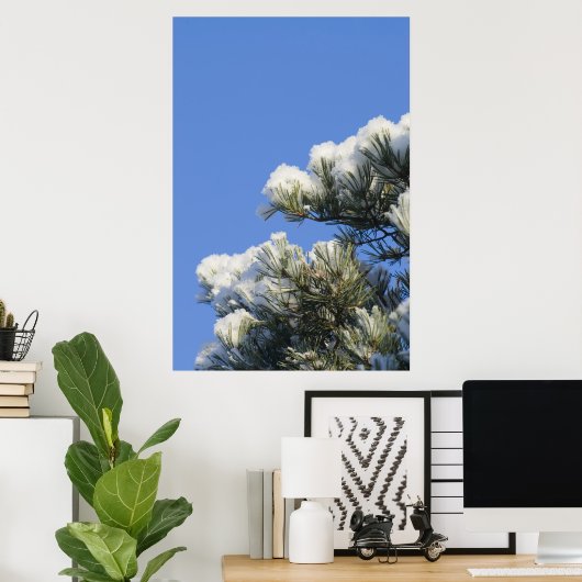 Kiefernnadeln Poster (Heimbüro)