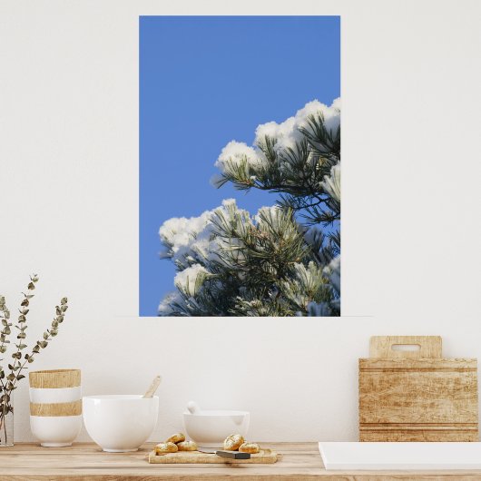 Kiefernnadeln Poster (Küche)