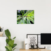 Kiefernnadeln Poster (Heimbüro)