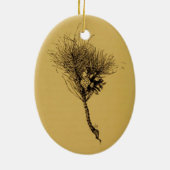 Kiefernniederlassung Keramikornament (Hinten)