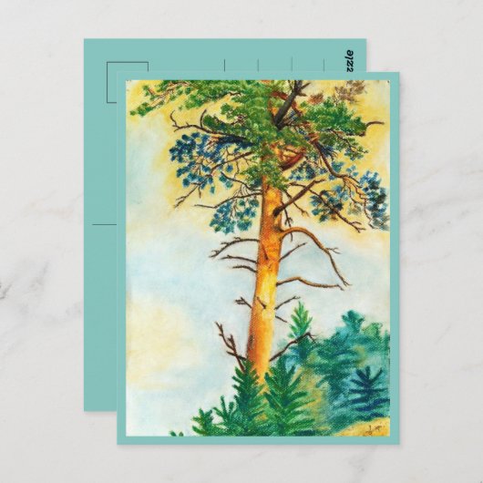 Kiefernpaste Postkarte (Vorne/Hinten)