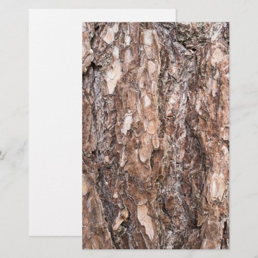 Kiefernrinde Briefpapier (Vorne/Hinten)