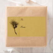 Kiefernschenkel (Insitu)